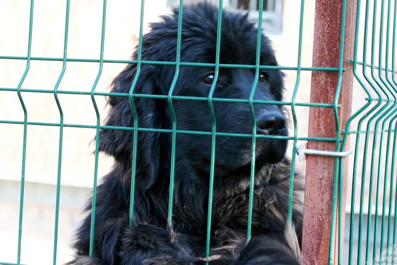 Фотография № 207600