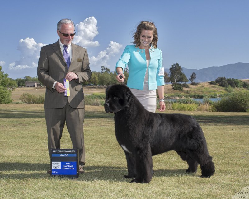 Фотография № 207621