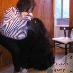 Фото: ньюфаундленд Юджин с Берега Дона