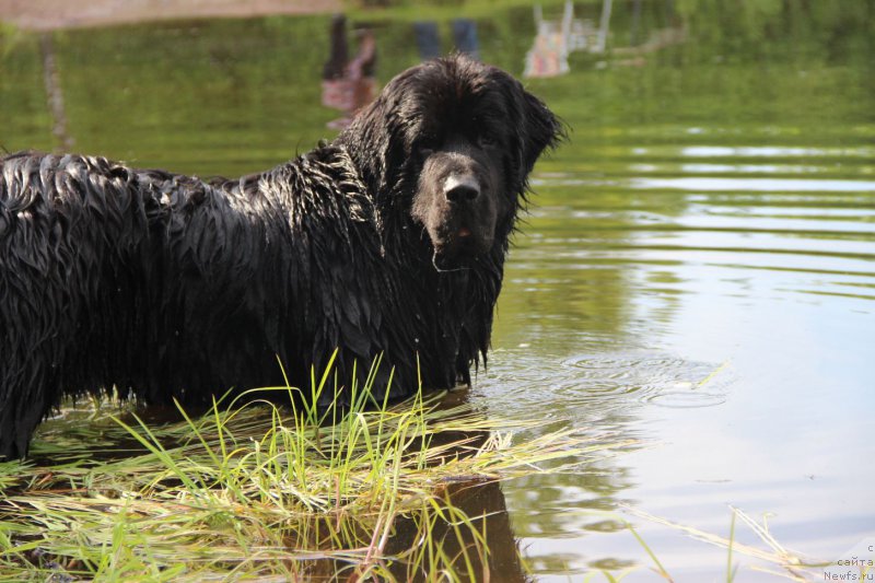 Фотография № 207635