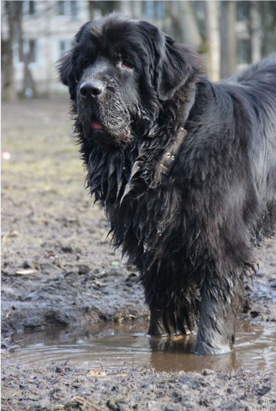 Фотография № 207639