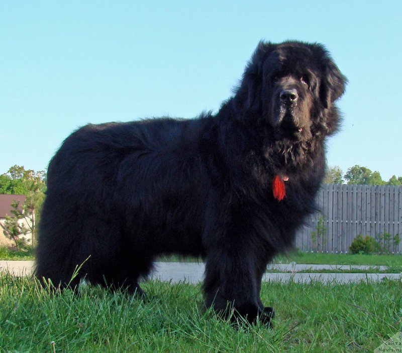 Фотография № 207661