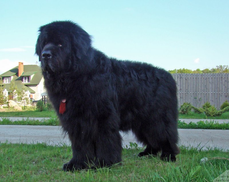 Фотография № 207662