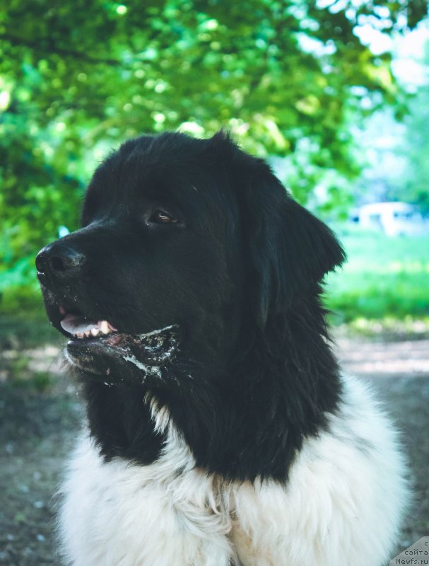 Фотография № 207671