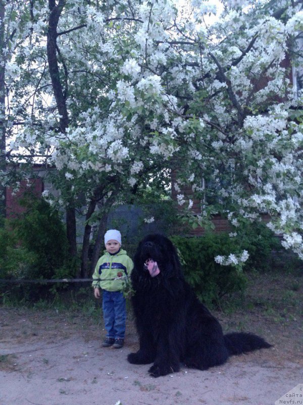 Фотография № 207676