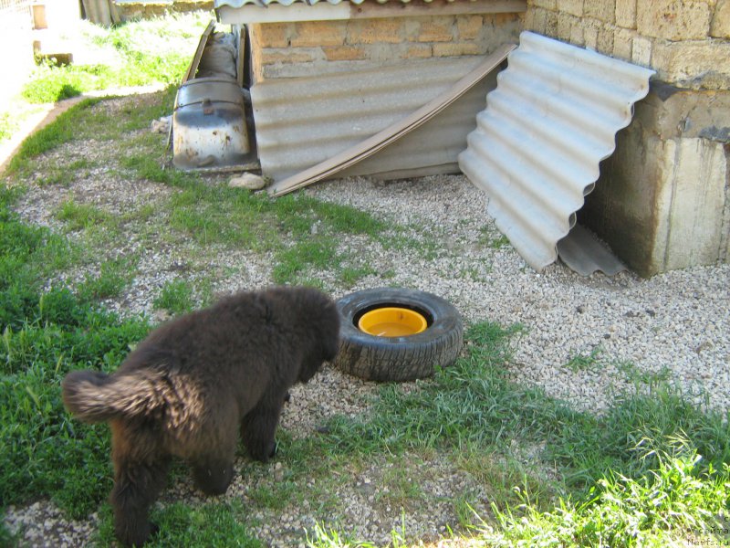 Фотография № 207699