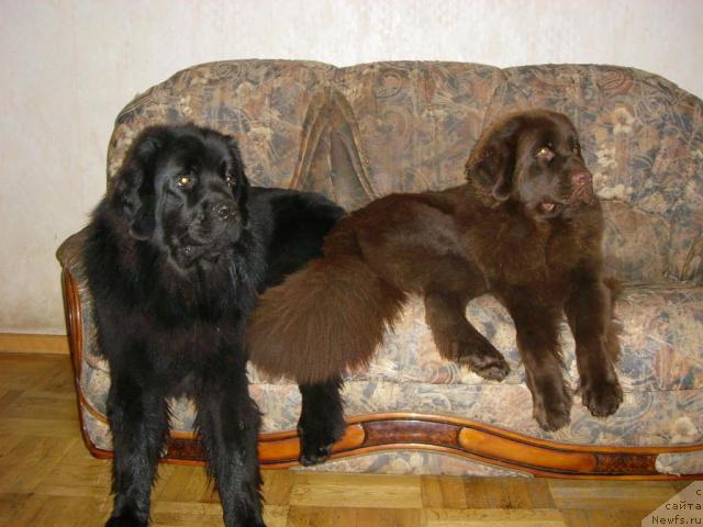 Фотография № 20771