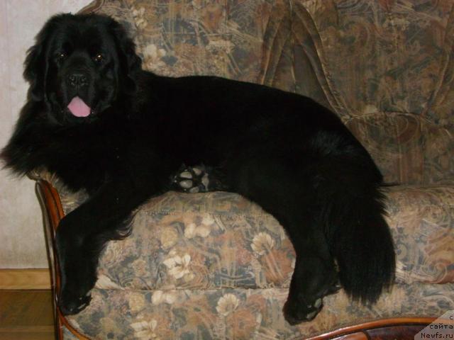 Фотография № 20772