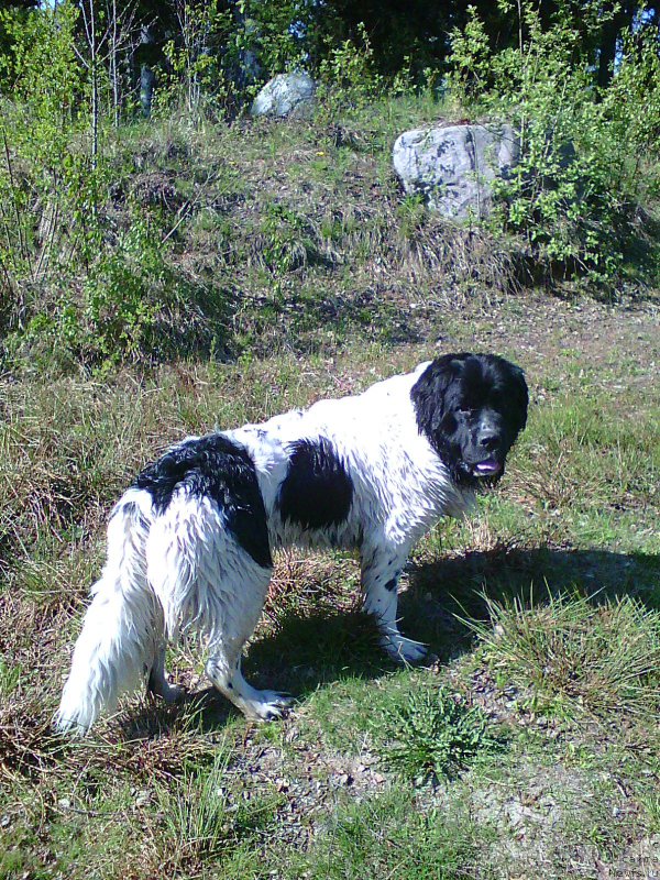 Фотография № 207721