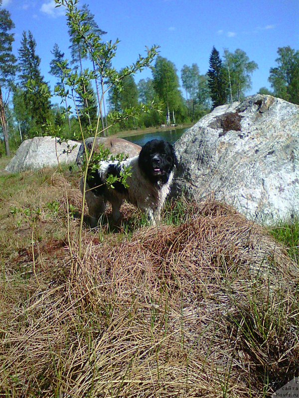 Фотография № 207722