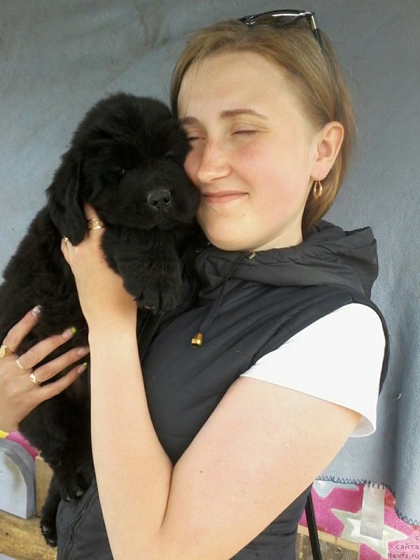 Фотография № 207759