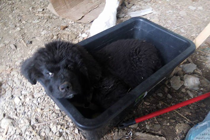 Фотография № 207772