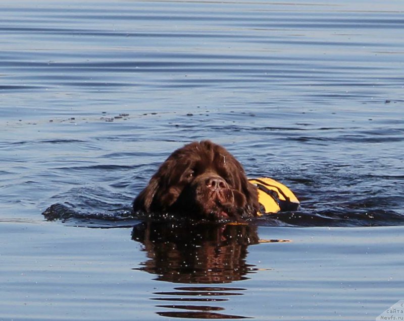 Фотография № 207777