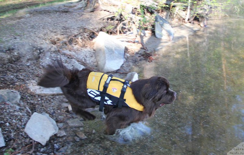 Фотография № 207779