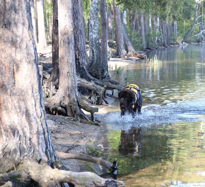 Фотография № 207780