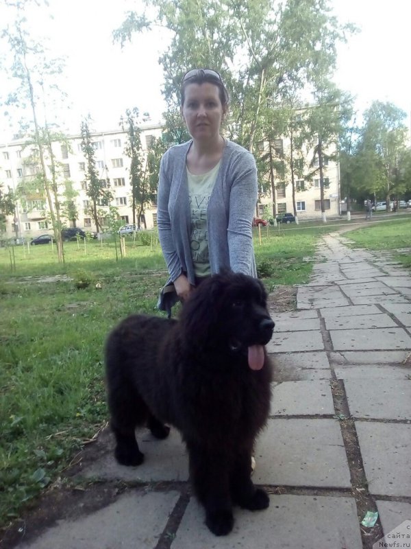 Фотография № 207788