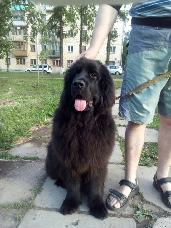 Фотография № 207789