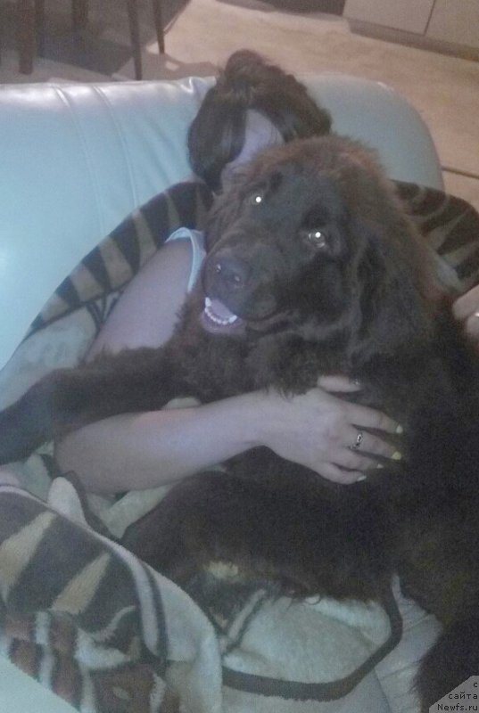 Фотография № 207810