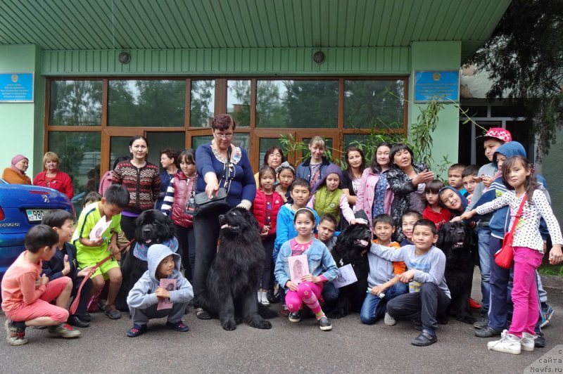 Фото: ньюфаундленд Женевьев Гарни Ледэн, ньюфаундленд Сент Джонс Улла для Кара Аюлар (Sent Djons Ulla for Kara Ayular), ньюфаундленд Ньюфорт Дивная Диана, ньюфаундленд Кипер Соул Есаул (Keeper Soul Esaul)