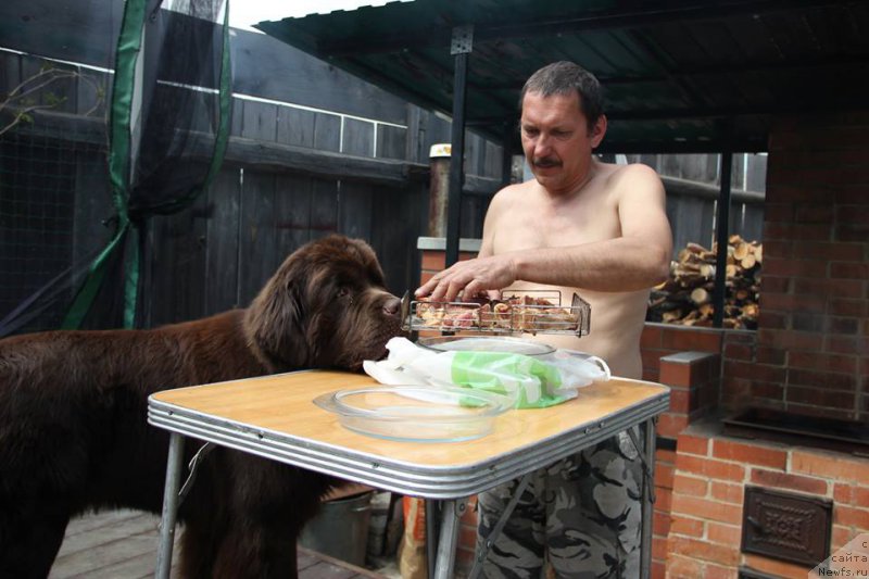 Фотография № 207847