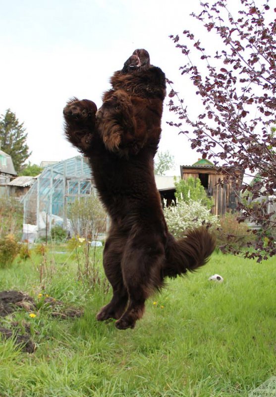 Фотография № 207850