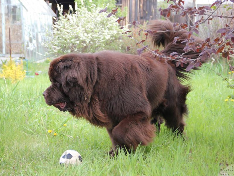 Фотография № 207851