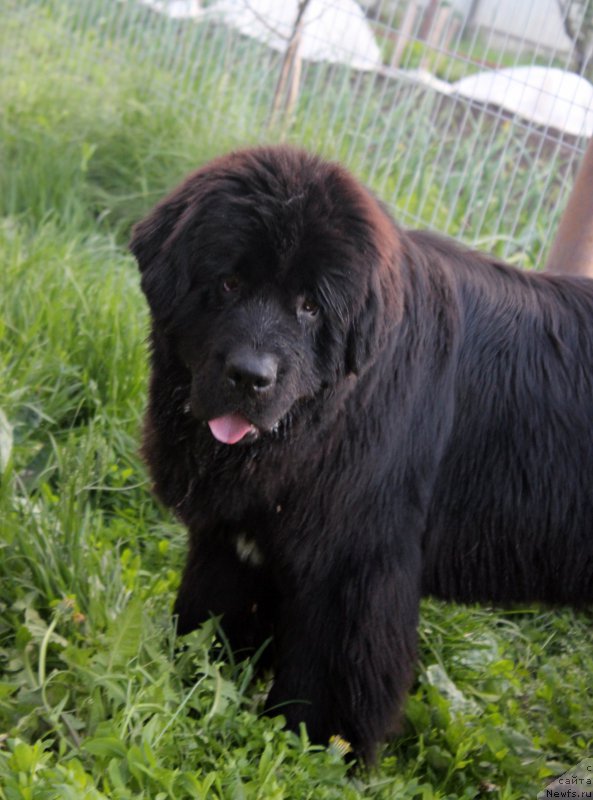 Фотография № 207875