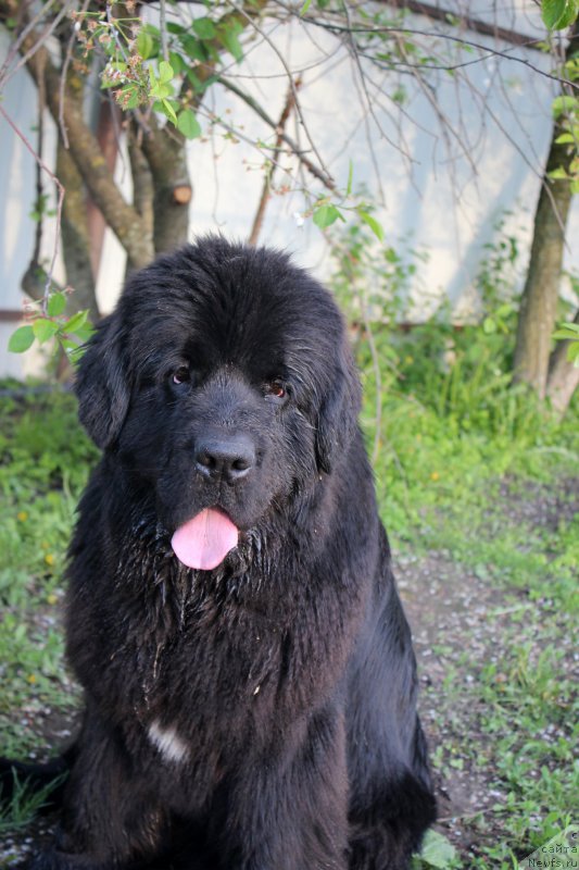 Фотография № 207876