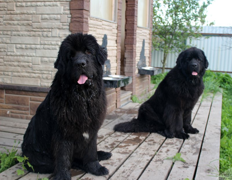 Фотография № 207877