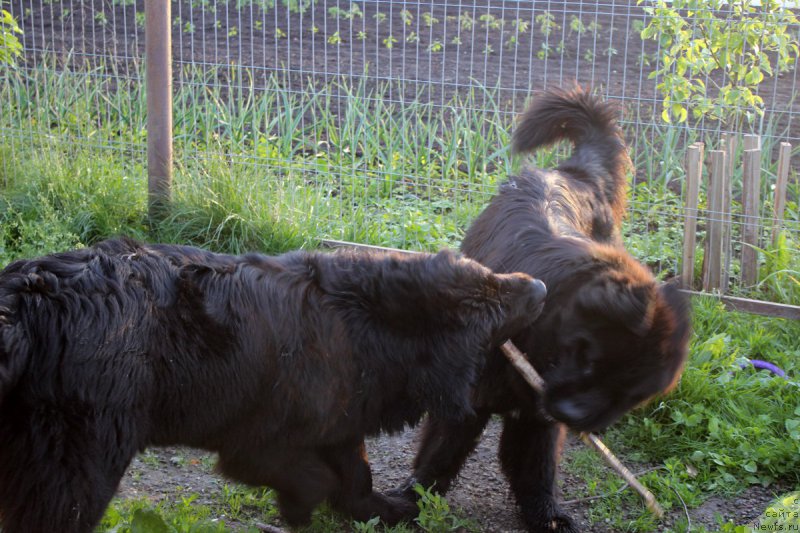 Фотография № 207879