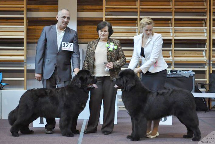 Фотография № 207880