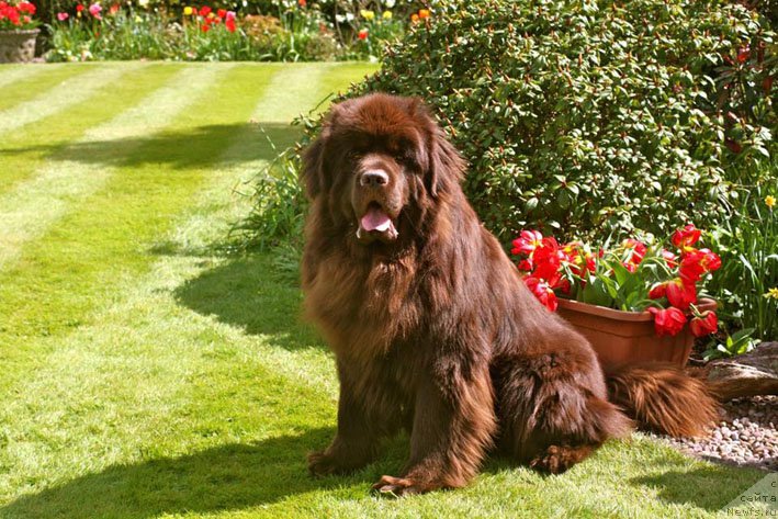 Фотография № 207882