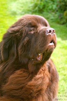 Фотография № 207883