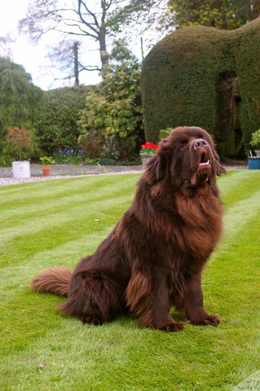 Фотография № 207884