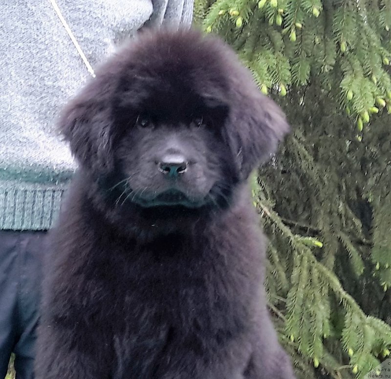 Фотография № 207892