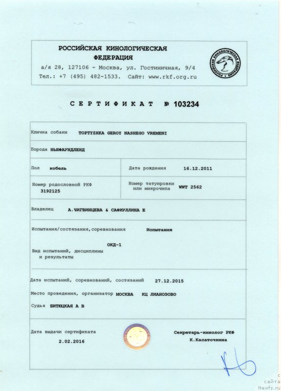 Фотография № 207894