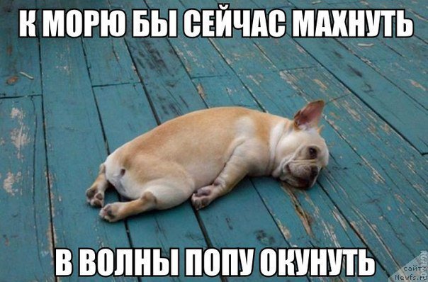 Фотография № 207960