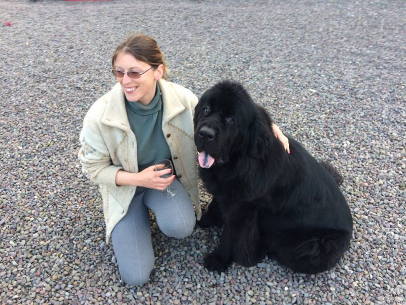 Фотография № 207967