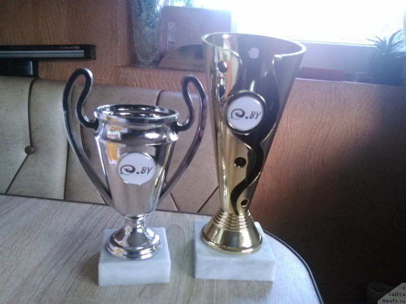 Фотография № 207992