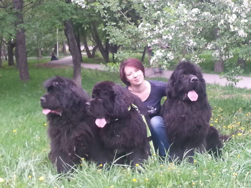 Фотография № 208032