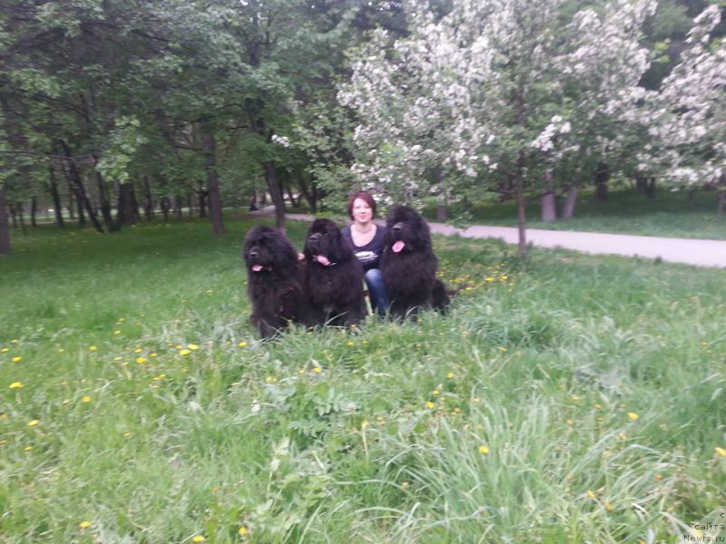 Фотография № 208033