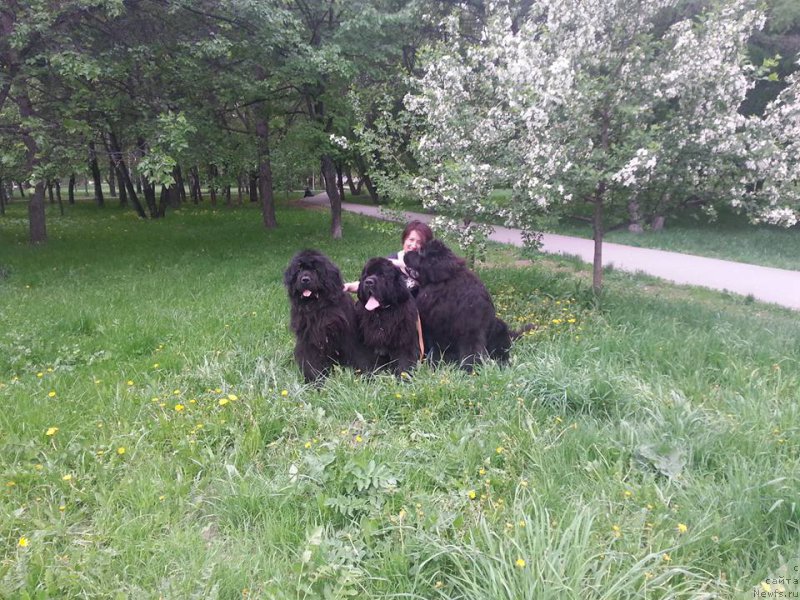 Фотография № 208034