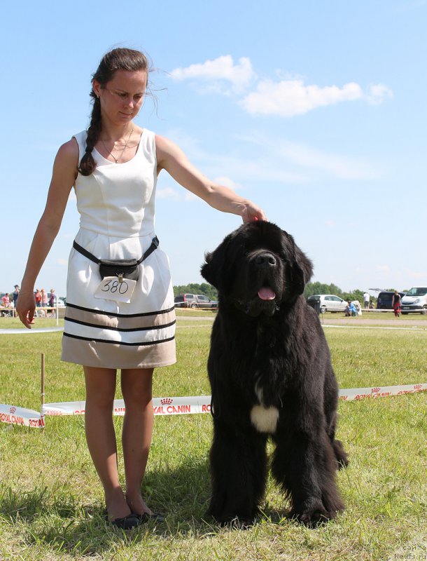 Фотография № 208045