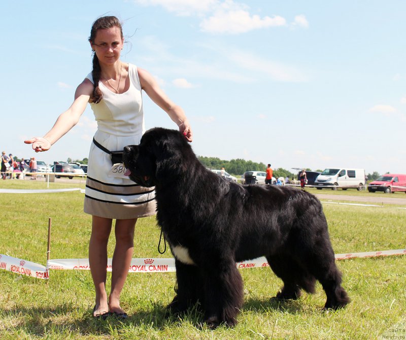 Фотография № 208046