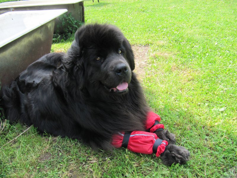 Фотография № 208067