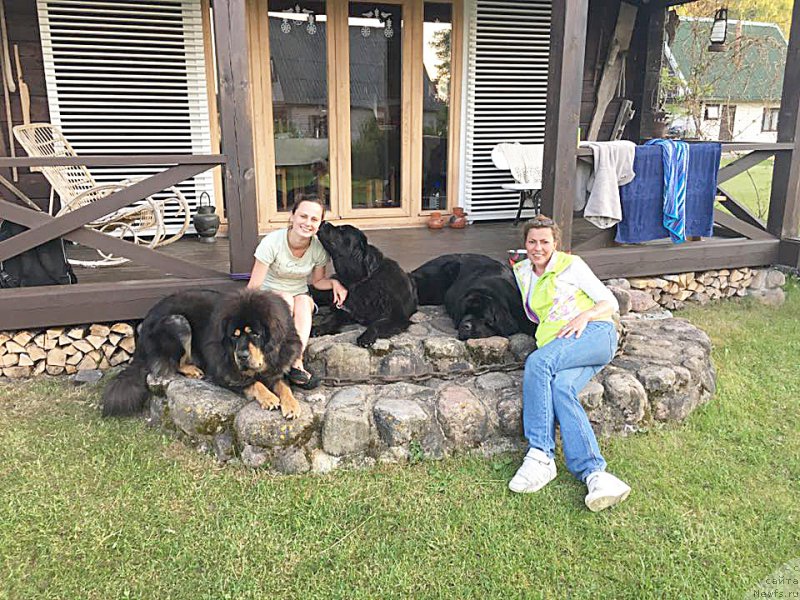 Фотография № 208095