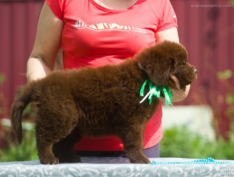 Фотография № 208108