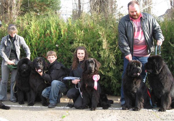 Фото: ньюфаундленд Князь Додон с Берега Дона (Knyaz Dodon s Berega Dona), ньюфаундленд Акватория Келвин Заветная Мечта (Aquatoriya Kelvin Zavetnaya Mechta), ньюфаундленд Ровена Весенний Цветок, ньюфаундленд Кингова Дочь с Берега Дона (Kingova Doch s Berega Dona), ньюфаундленд Винчес из Медвежьего Яра для Берега Дона (Vinces iz Medvejyego Yara Dlja Berega Dona)