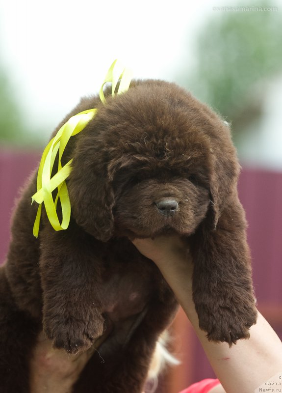 Фотография № 208137