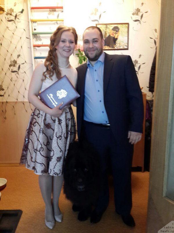 Фотография № 208164